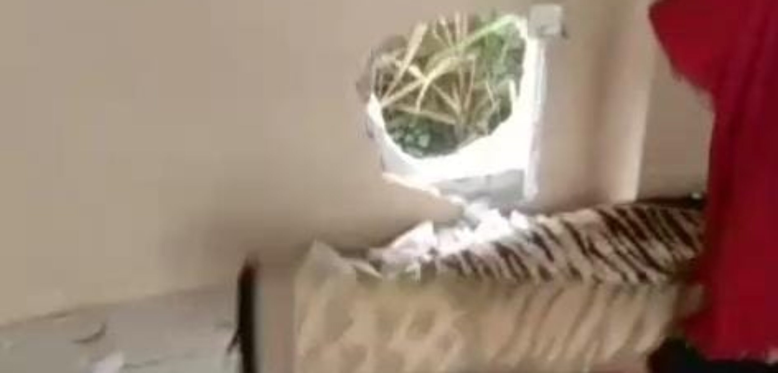 Kondisi tembok gedung kantor PC Muslimat NU di Desa Kintelan, Kecamatan Puri, Kabupaten Mojokerto yang dijebol komplotan maling, Senin (26/1/2025) siang (Redaksi / Kabarterdepan.com) 