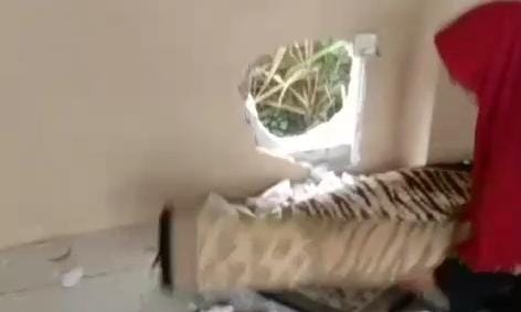 Kondisi tembok gedung kantor PC Muslimat NU di Desa Kintelan, Kecamatan Puri, Kabupaten Mojokerto yang dijebol komplotan maling, Senin (26/1/2025) siang (Redaksi / Kabarterdepan.com) 