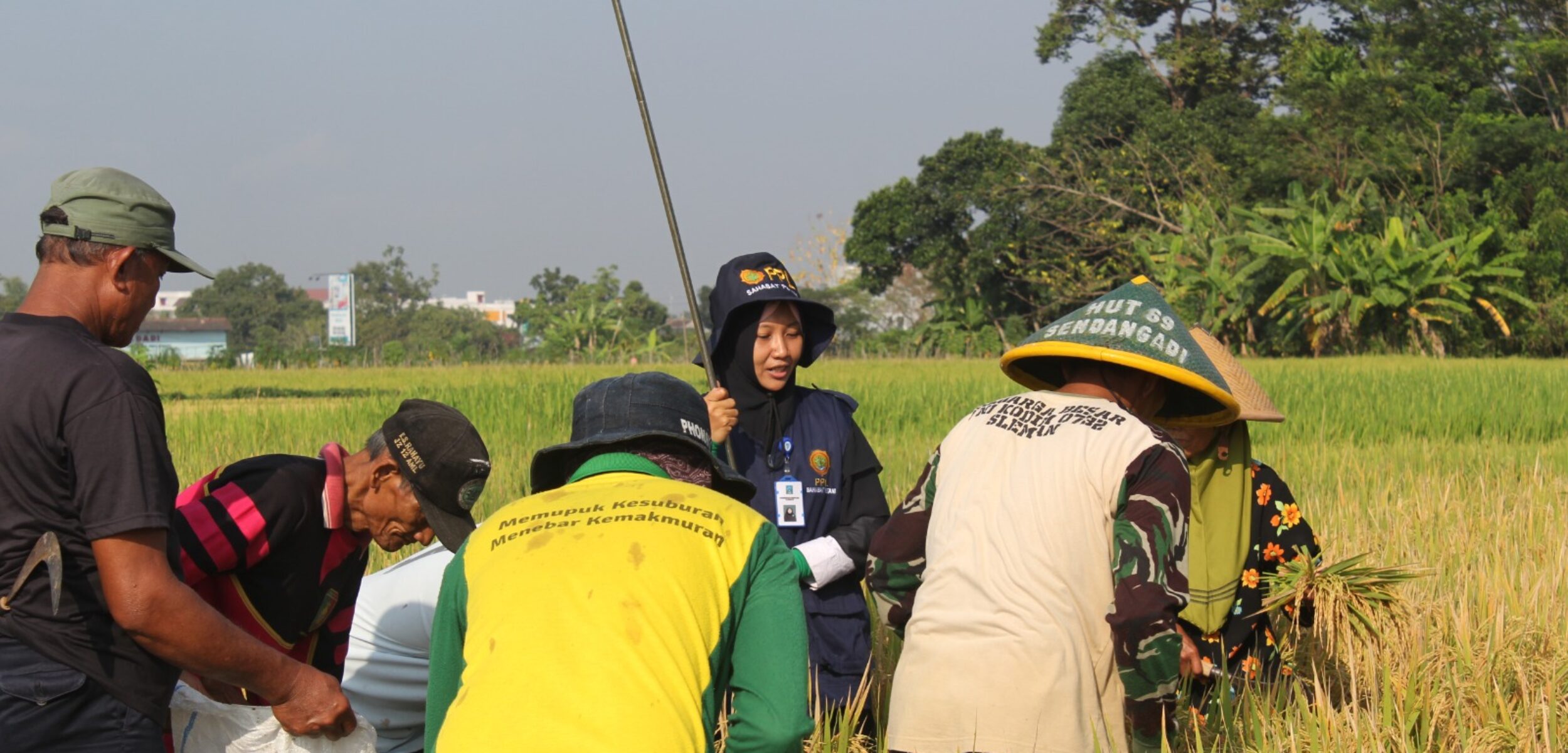 Koordinasi Rutin dengan Kementan, DP3 Sleman Tetapkan HPP Gabah Rp 6,5 ribu Per Kilogram