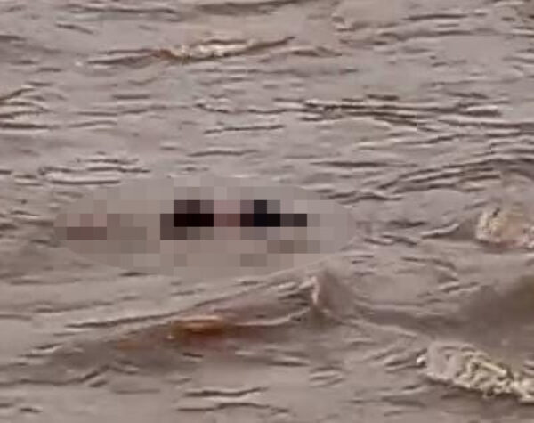 Mayat Mengenakan Baju Hitam Mengapung di Sungai Brantas Rolak 9