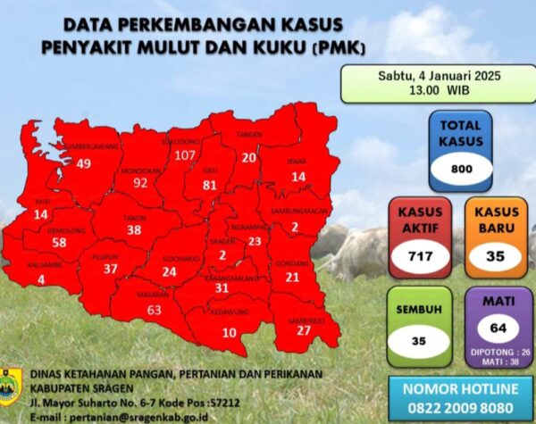 PMK Gelombang II Makin Ganas, Harga Sapi di Sragen Anjlok
