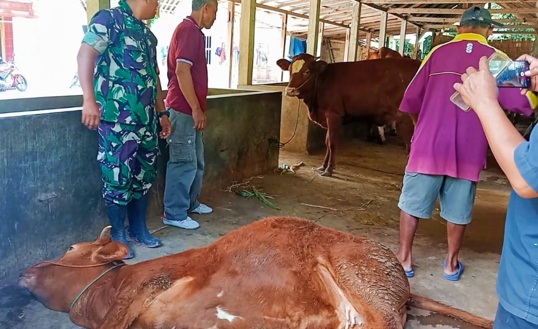 Screenshot 20250109 222645