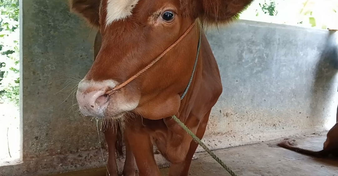 Screenshot 20250109 224018