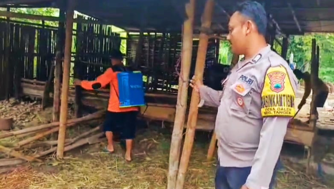 Screenshot 20250111 184429