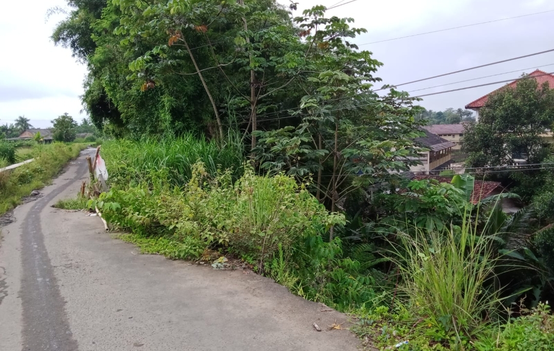 Screenshot 20250115 144230