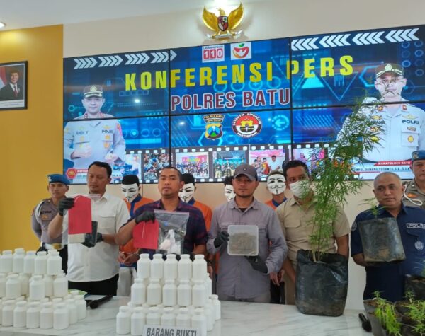 6 Tahun Tanam Ganja di Polybag, Pria di Batu Diringkus Polisi