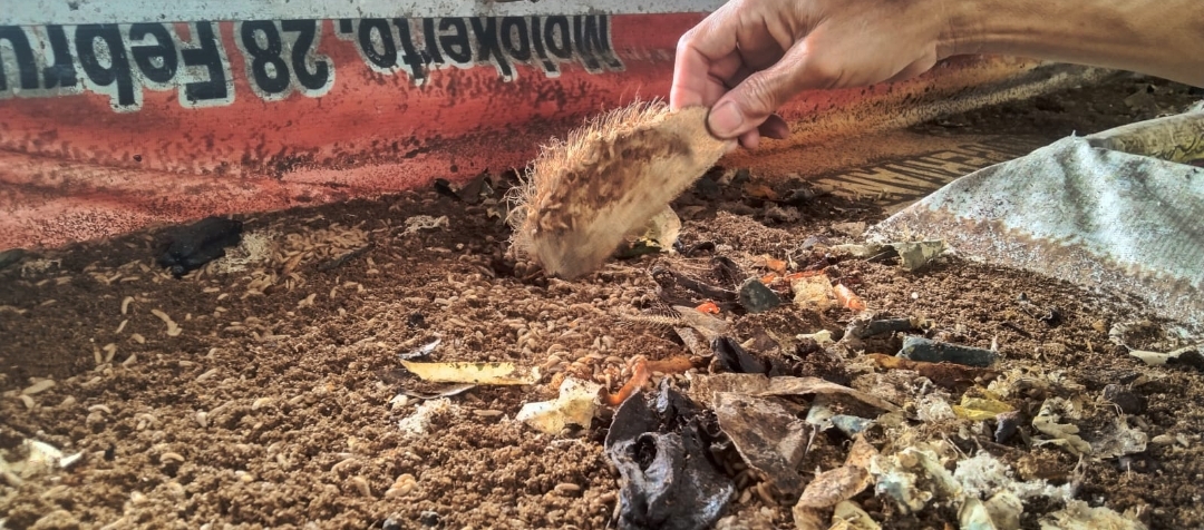 Screenshot 20250118 231546