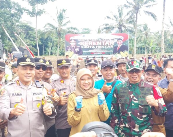 Penanaman Jagung Serentak Tingkatkan Produksi Pangan di Banyuwangi