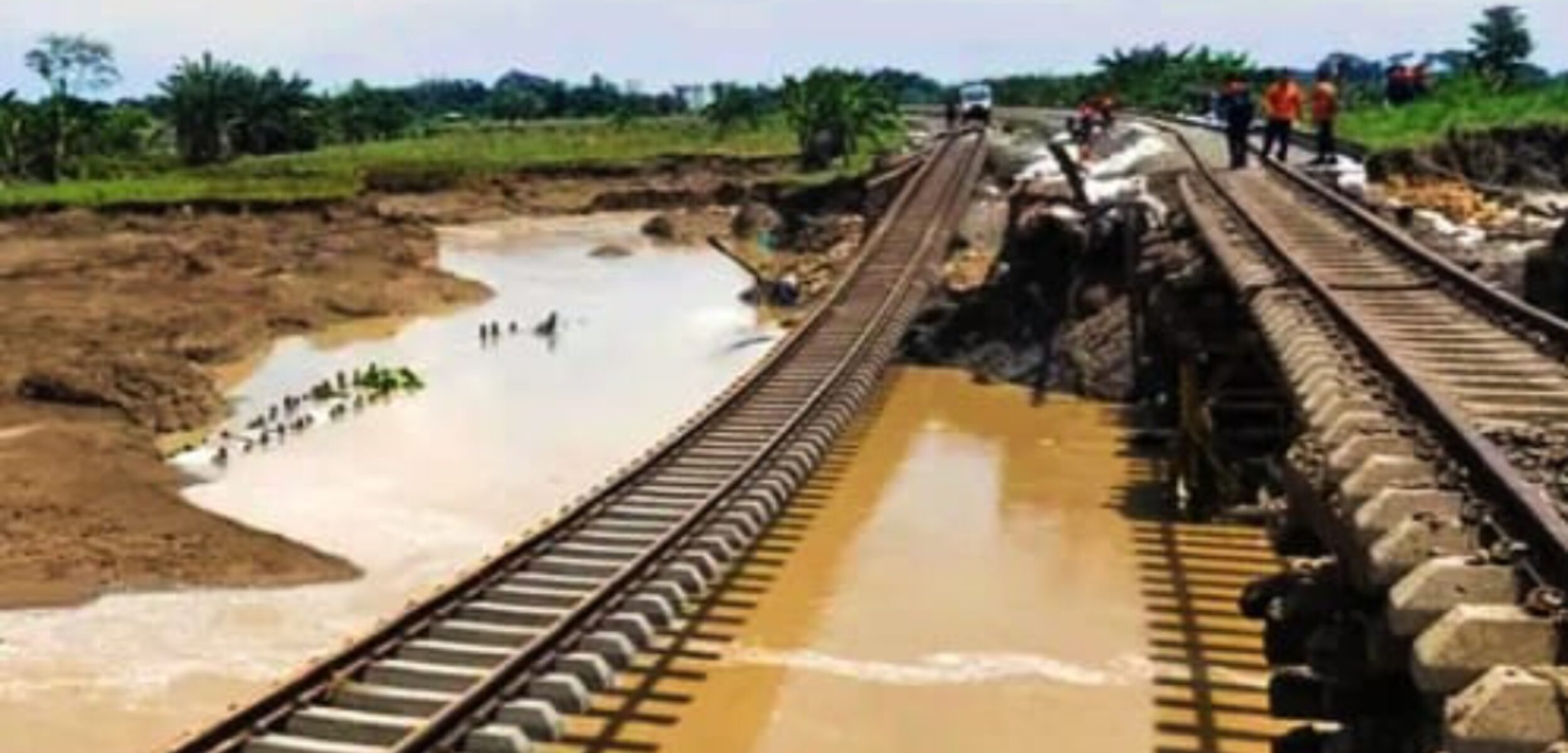 Screenshot 20250129 174200