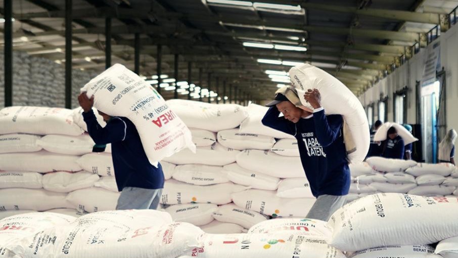 Snapinsta.app 471809113 18381264613129211 1941364993241086861 n 1080