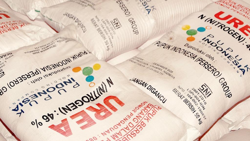 Snapinsta.app 472754888 18382218001129211 8528168588212192787 n 1080