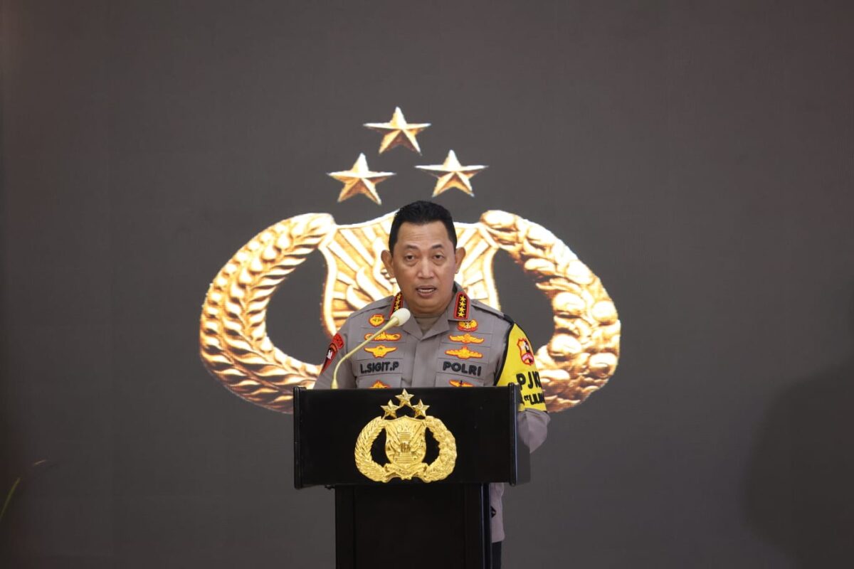 WhatsApp Image 2025 01 01 at 11.10.51 AM