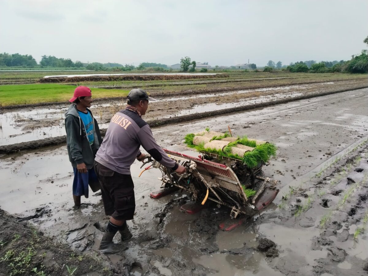 WhatsApp Image 2025 01 20 at 1.27.56 PM 1 2 WhatsApp Image 2025 01 20 at 1.27.56 PM 1