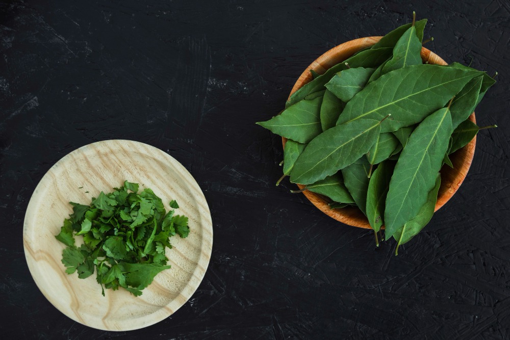 WhatsApp Image 2025 01 25 at 12.44.04 PM