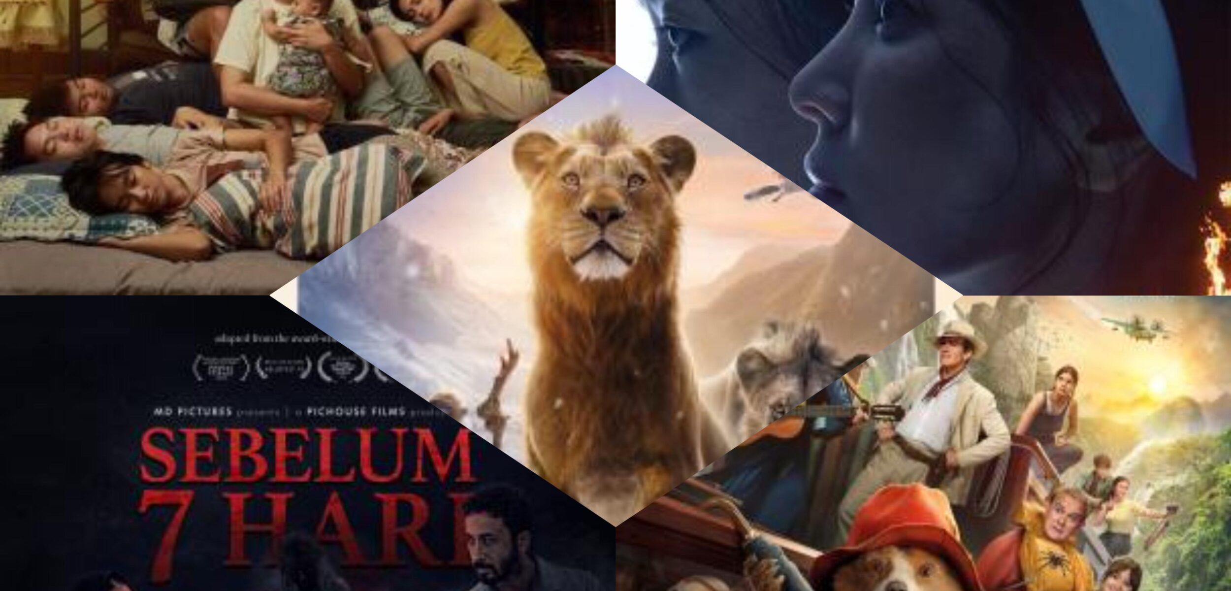 WhatsApp Image 2025 01 28 at 8.38.40 AM