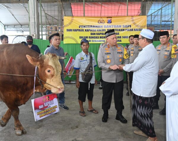 Peringati 5 Rajab 1446 H, Kapolri Dan Kapolda Kalsel Sumbang Sapi