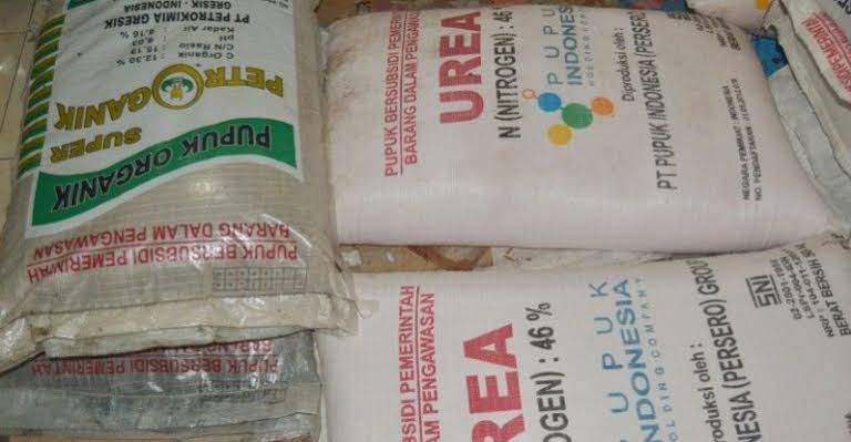 images 2025 01 17T140547.036