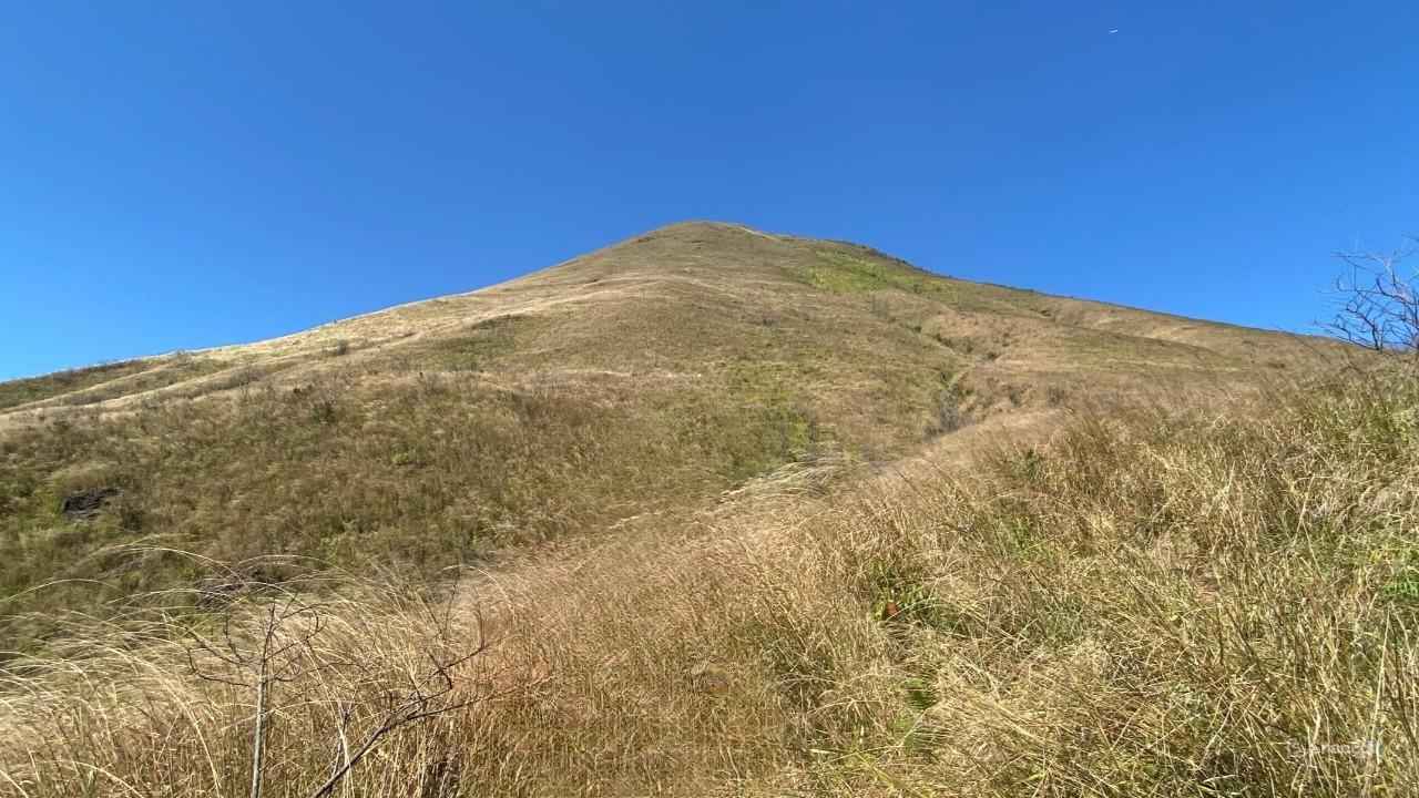 snapedit 1736524502801.jpg 11zon