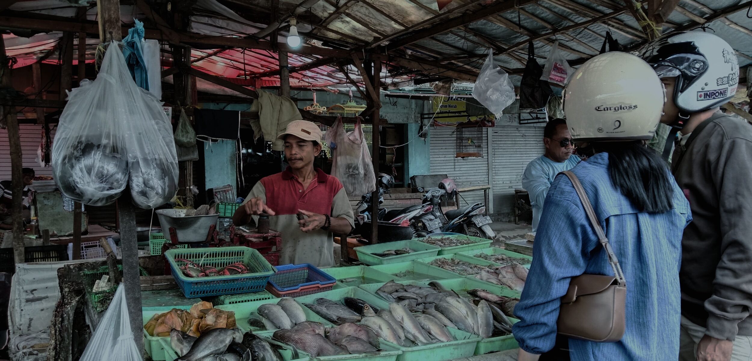 Ikan Mujair Hits Diserbu Emak-Emak, Pedagang Cuan Abis!