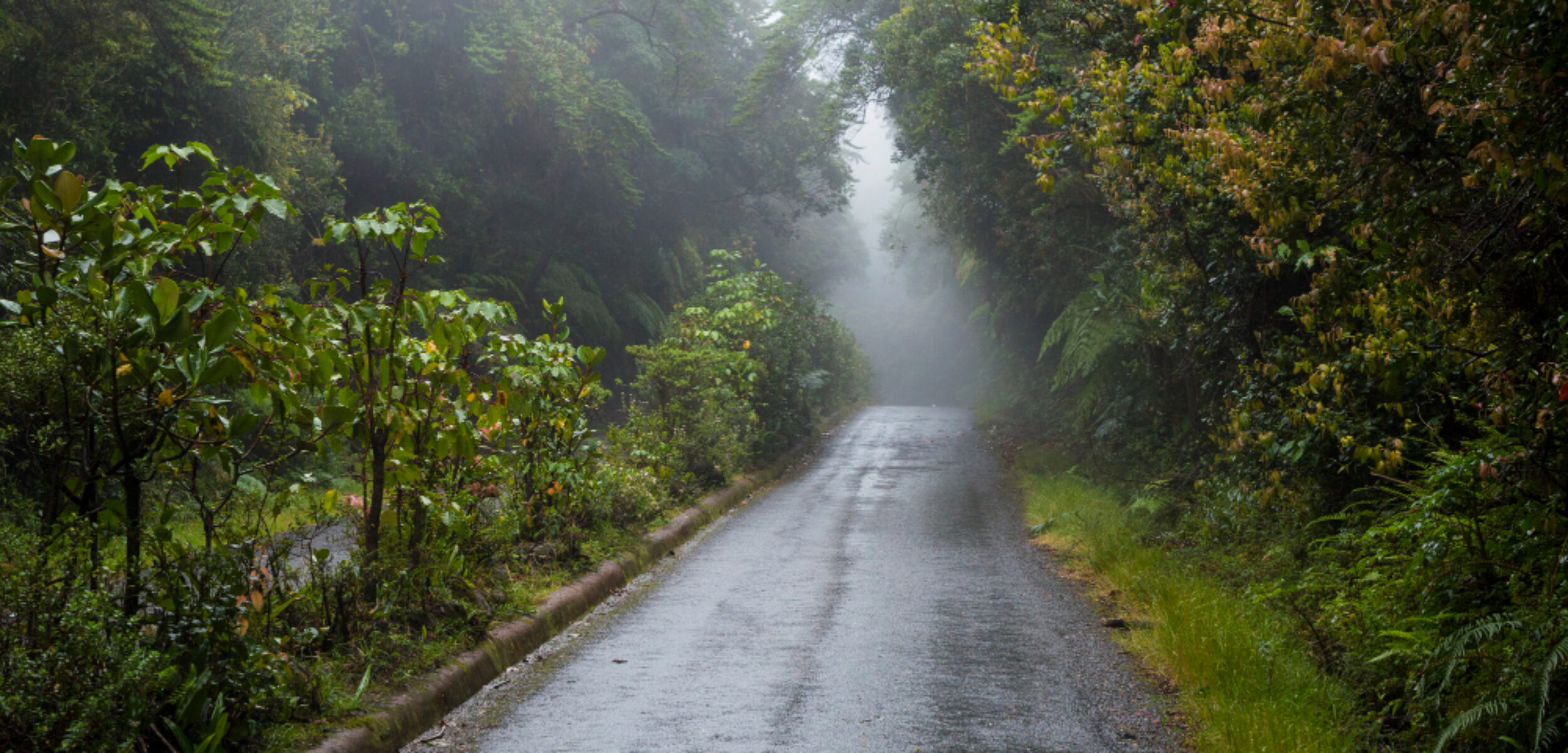 2148248876 1 2148248876