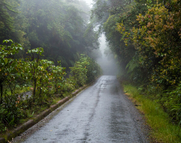 Prakiraan Cuaca Kabupaten Mojokerto Besok (16/2), Hujan Ringan dan Berkabut