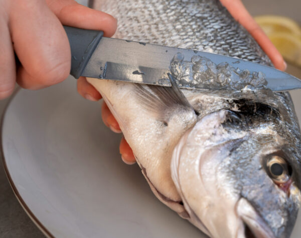 Update Data Bapok di Mojokerto, Ikan Kembung Naik Harga