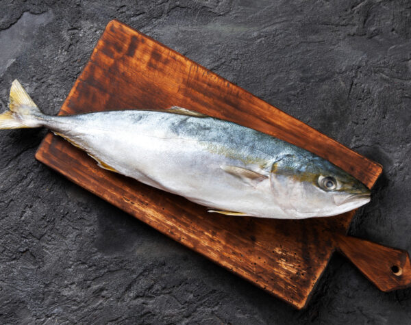 Simak Data Harga Ikan Tongkol Se-Jatim, Termahal di Kota Mojokerto Rp42.500