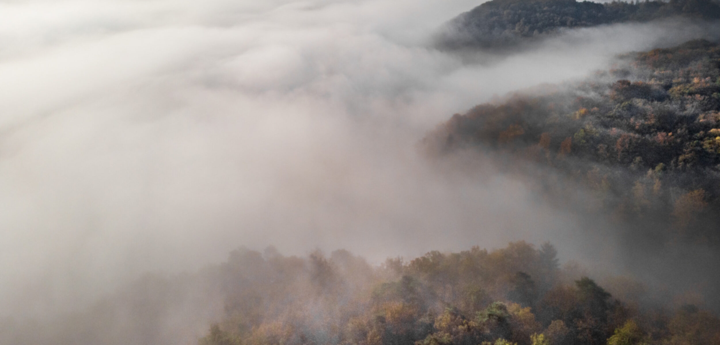 5455 1 Ilustrasi prakiraan cuaca berkabut. (Freepik)