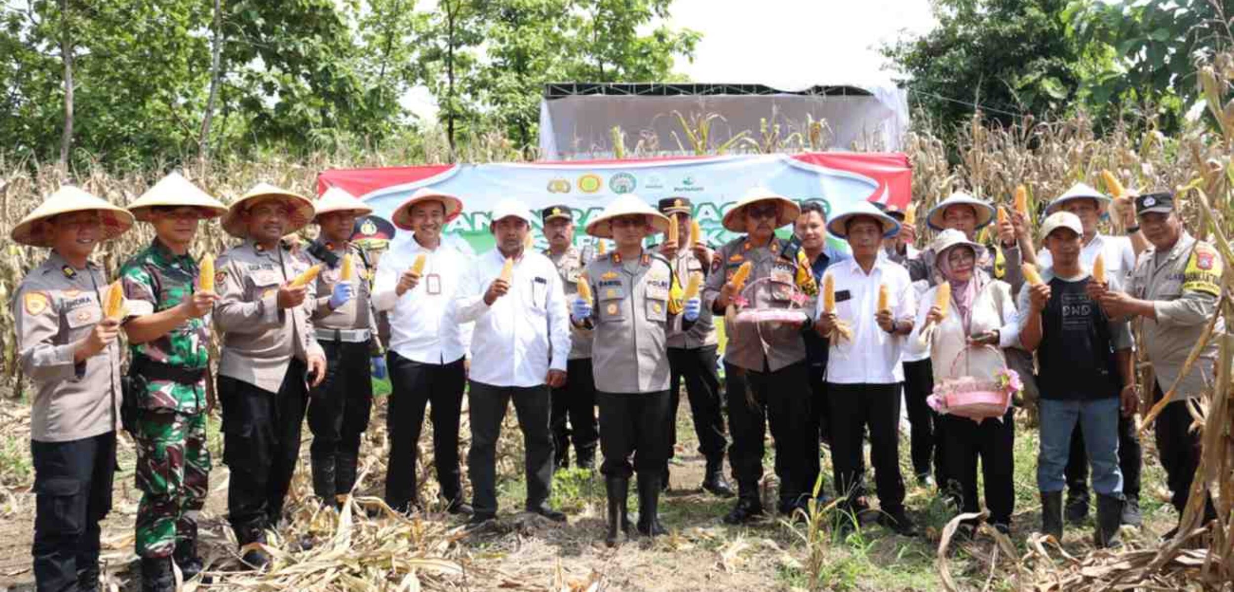 A7A08AEE 5AD0 4CCC A3D1 755981C54C8B