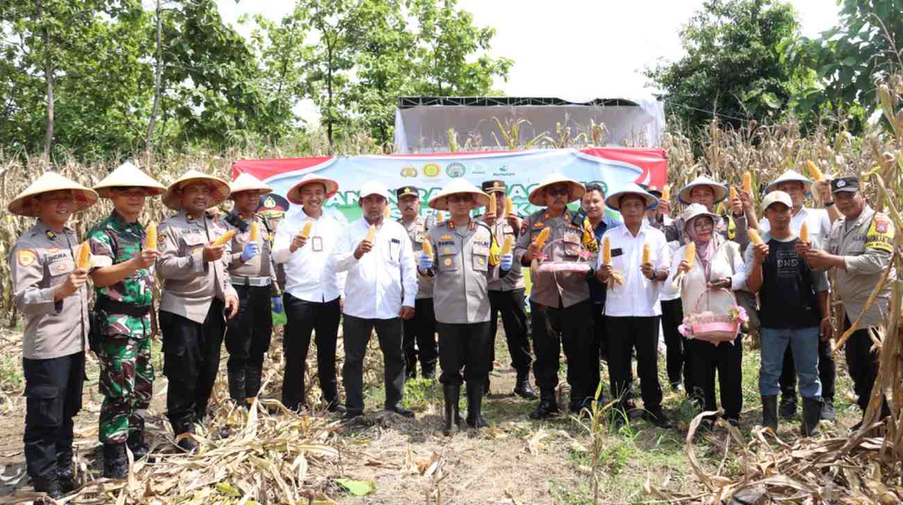 A7A08AEE 5AD0 4CCC A3D1 755981C54C8B