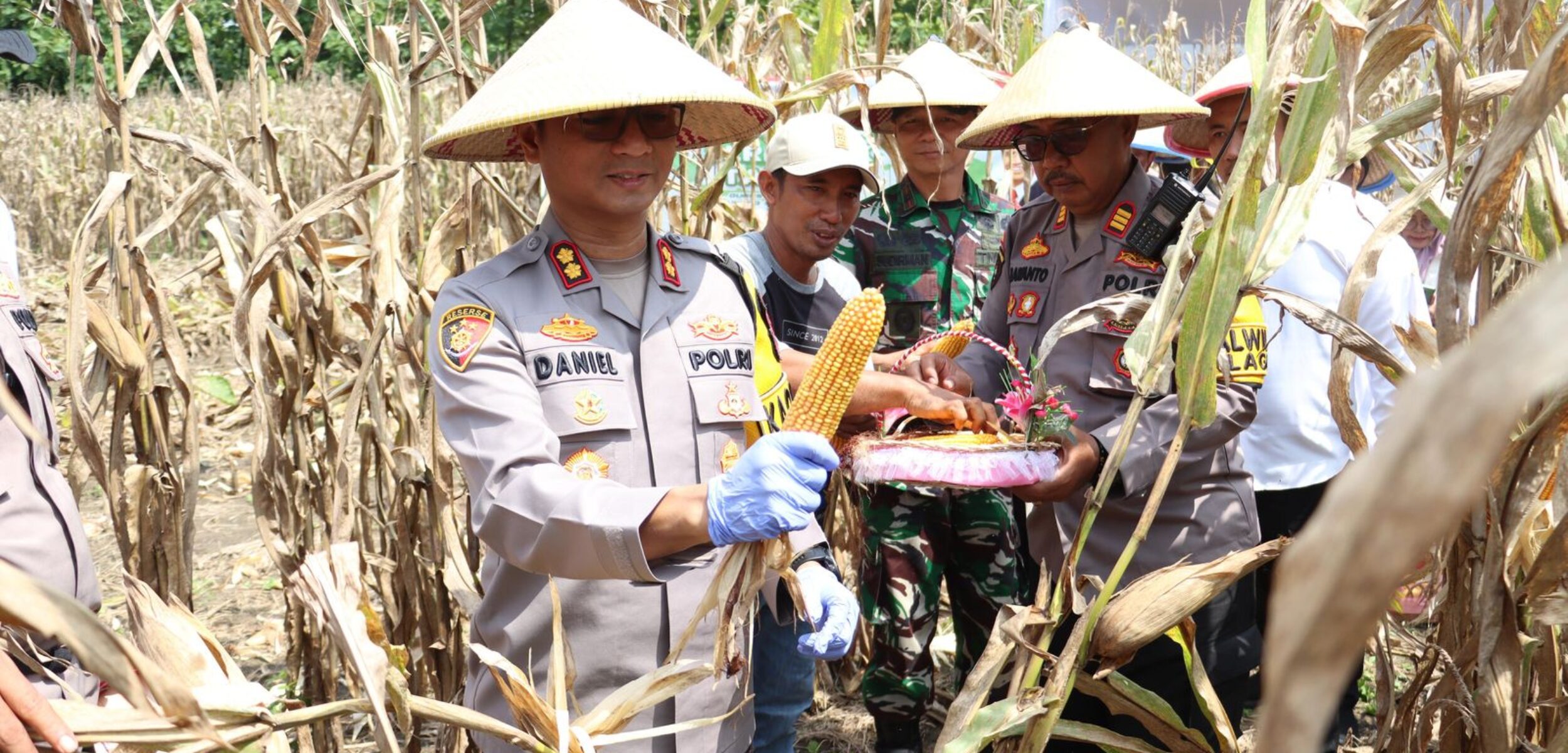 A8BAC752 F5C3 477B 9BC3 9CD544770512