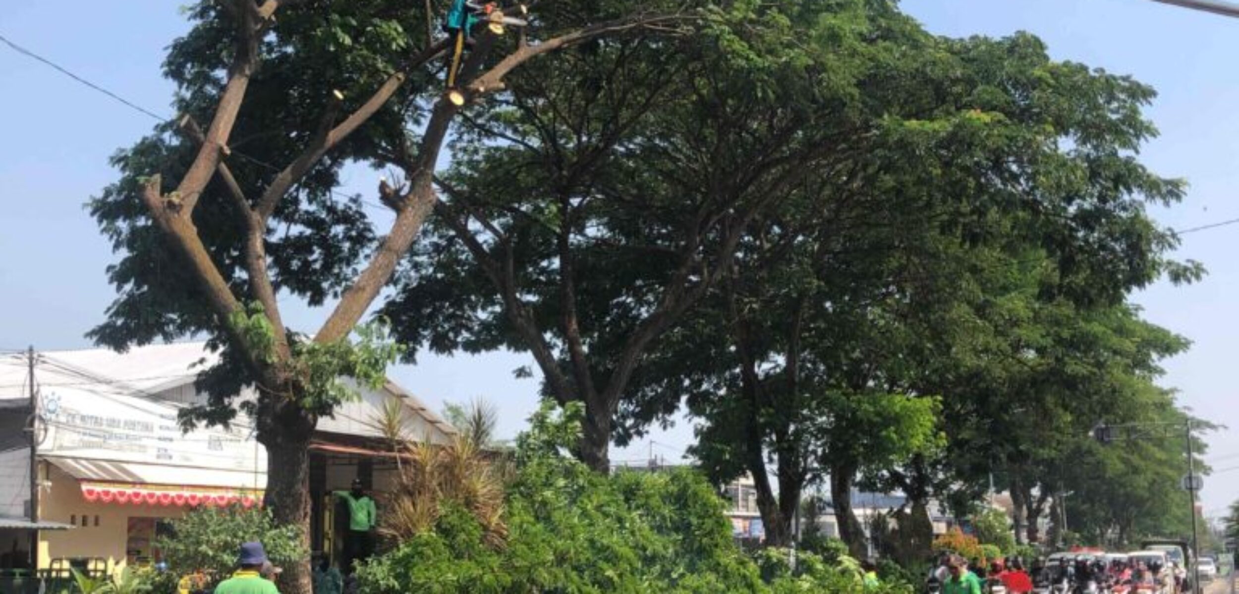 IMG 20241106 WA0012 11zon 768x432 1