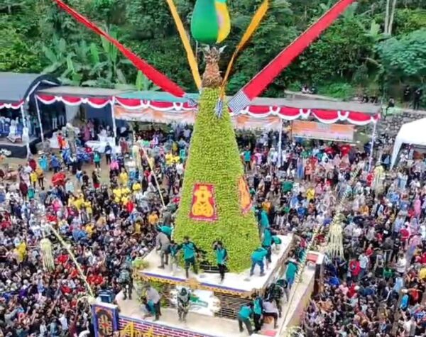 Tradisi Unik Andum Apokat, Petani di Wonosalam Jombang Bikin Event Gunungan Alpukat Setinggi 10 Meter