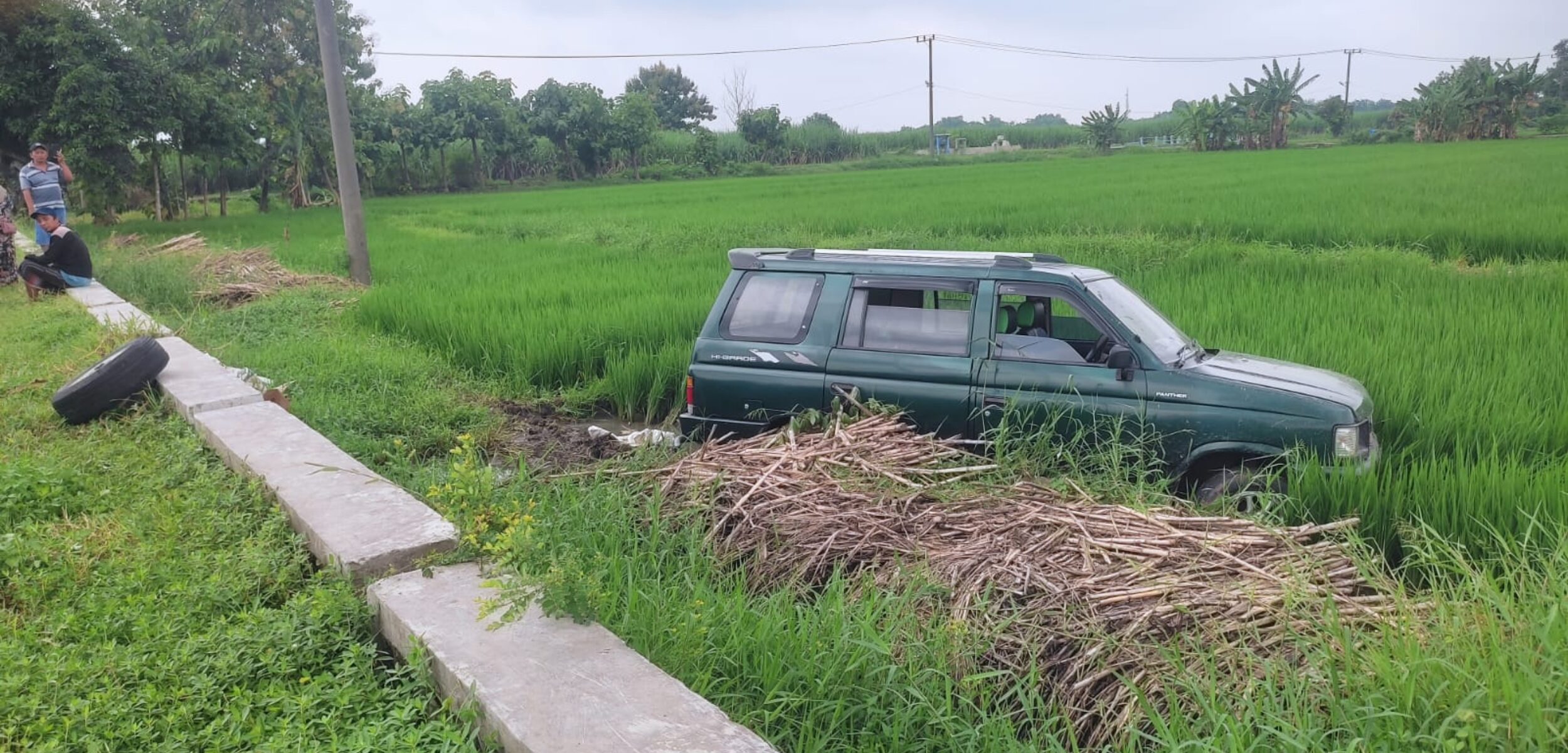 Kondisi mobil Isuzu Phanter di Jalan Raya Desa Medali, Kecamatan Puri, Kabupaten Mojokerto saat terperosok ke sawah, Senin (3/2/2025) pagi (Redaksi / Kabarterdepan.com) 