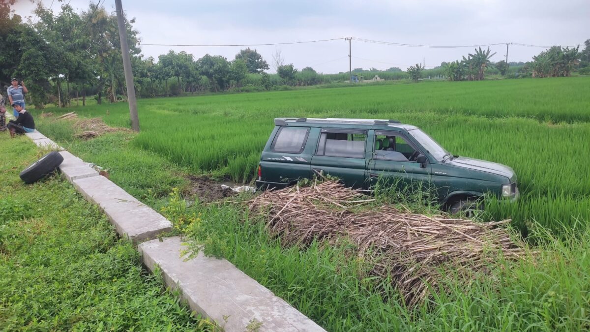 Kondisi mobil Isuzu Phanter di Jalan Raya Desa Medali, Kecamatan Puri, Kabupaten Mojokerto saat terperosok ke sawah, Senin (3/2/2025) pagi (Redaksi / Kabarterdepan.com) 
