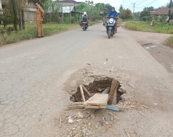 Jalan Provinsi di Pulau Mainan Dharmasraya Jebol dan Rusak parah, Ancam Pengguna Jalan