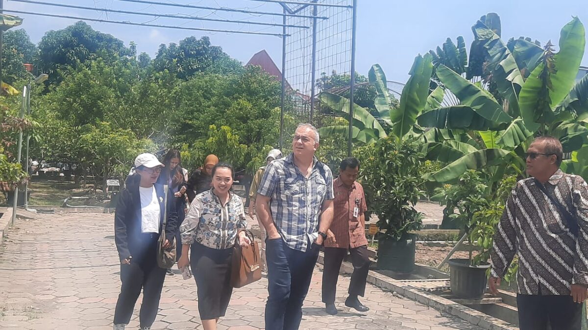 IMG 20250206 WA0098 1 Kebun Plasma Nutfah