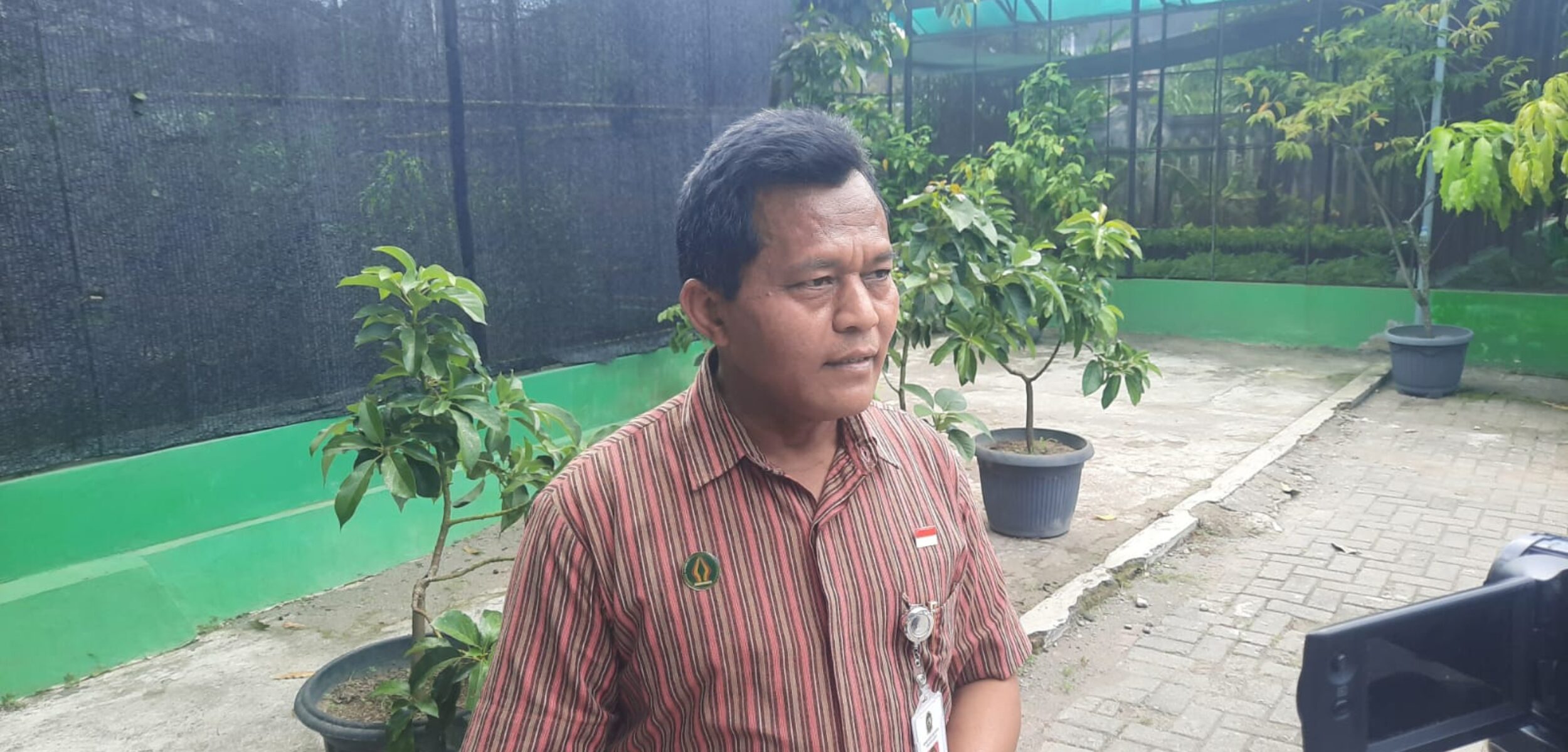 Jumlah Petani Makin Menurun, Ini yang Dilakukan Dinas Pertanian Kota Yogyakarta