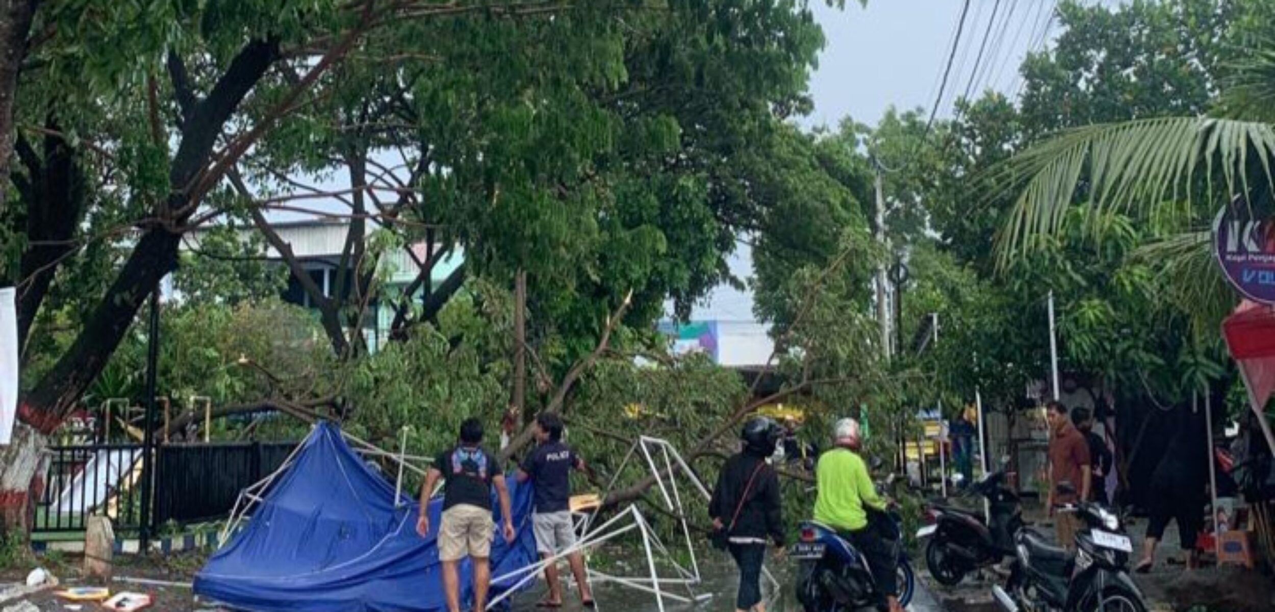 Pohon Tumbang Timpa Tenda Pedagang dan Rumah Warga di Surodinawan, Tak Ada Korban Jiwa