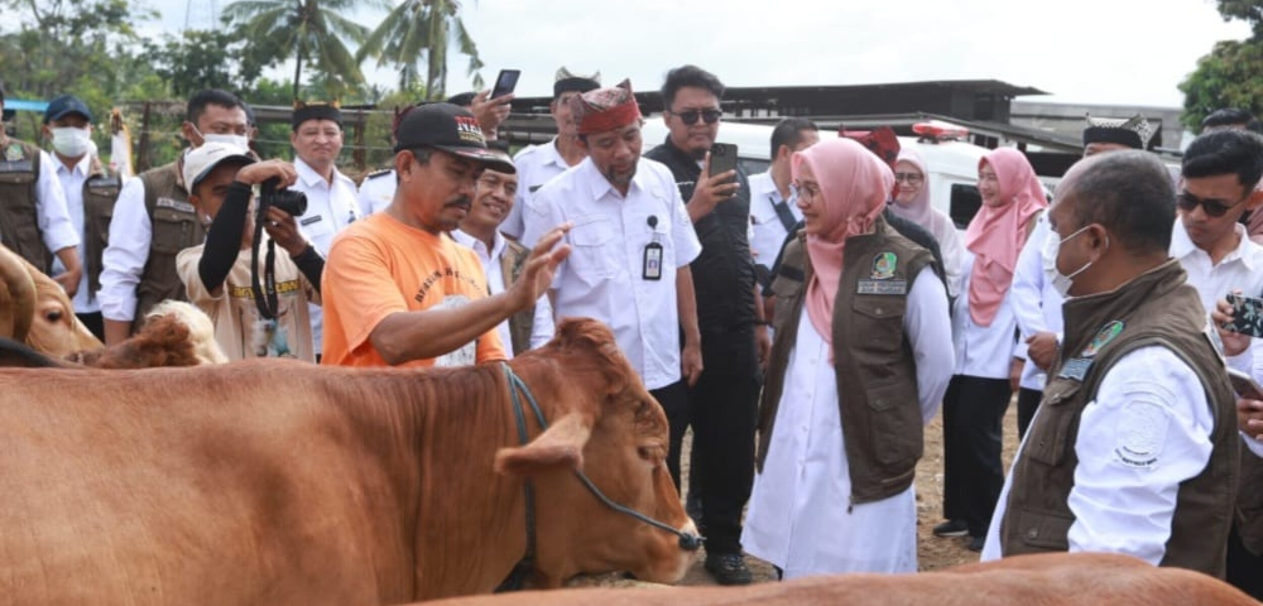 Pemkab Banyuwangi Percepat Vaksinasi Puluhan Ribu Sapi untuk Cegah PMK