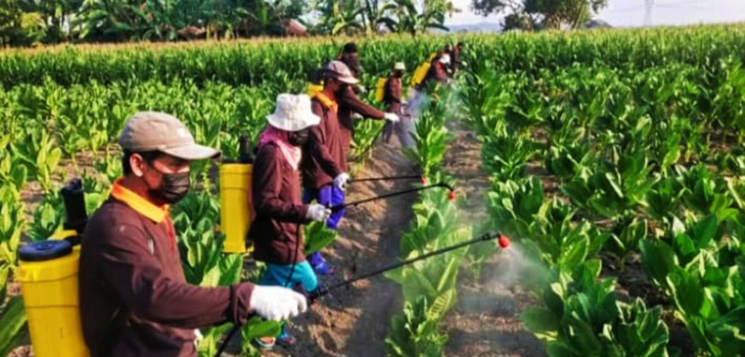 Alokasi DBHCHT Grobogan Meningkat Rp 34 Miliar, OPD Penyalur Ditambah