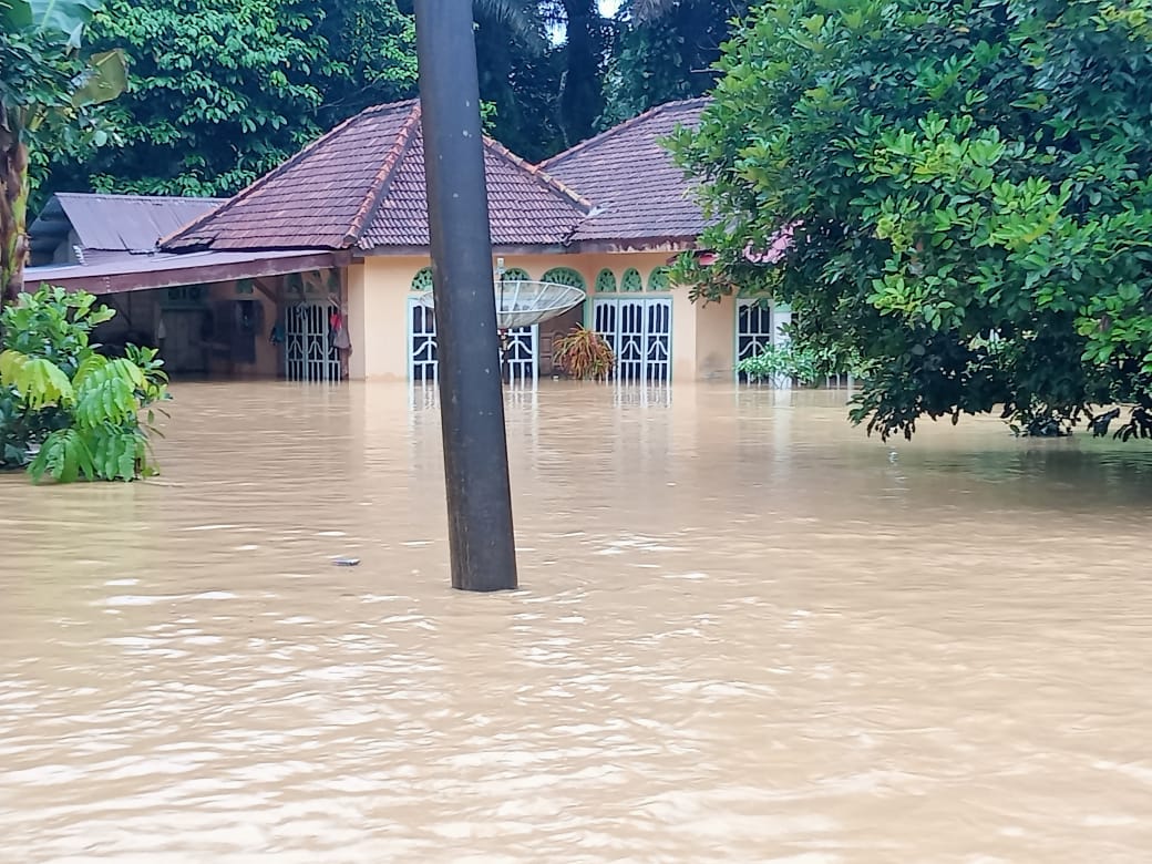 IMG 20250221 WA0072 1 IMG 20250221 WA0072