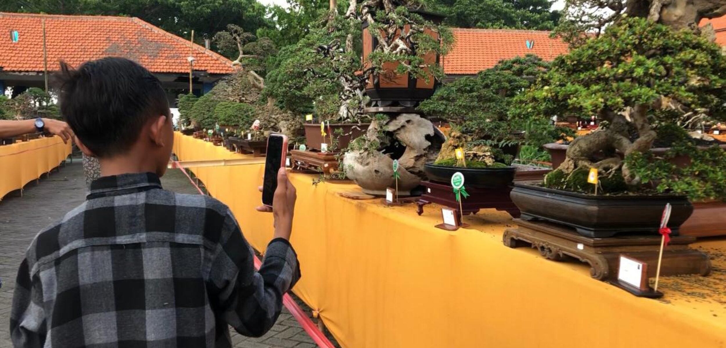 Pertama, Pameran Bonsai Skala Nasional Dihelat di Mojokerto