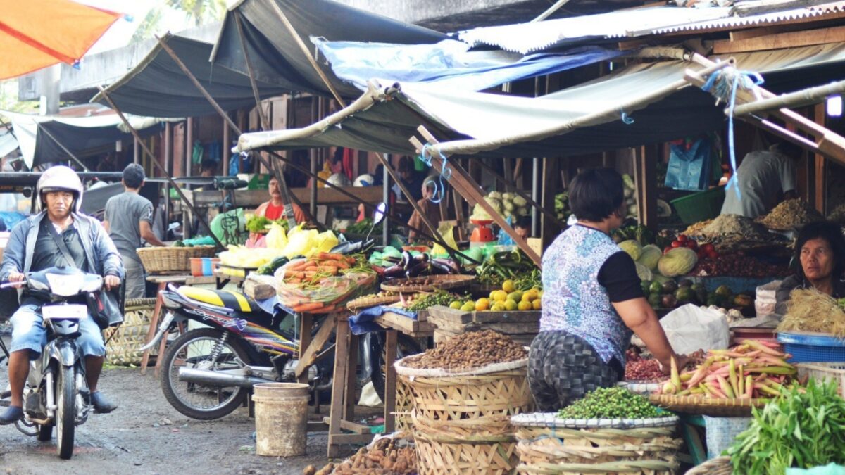 IMG 20250201 020048 1 IMG 20250201 020048