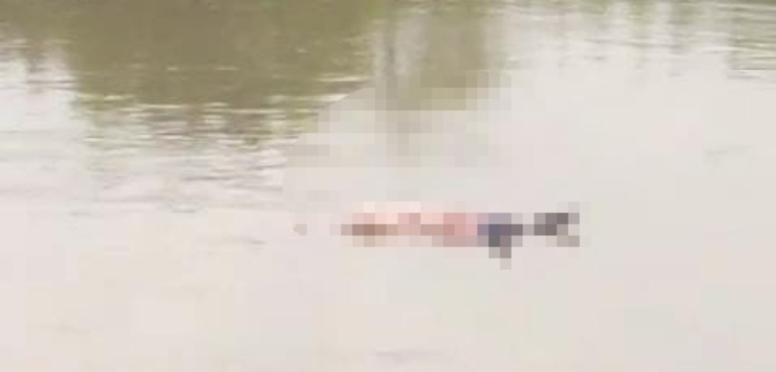 Heboh, Mayat Tanpa Identitas Mengapung Terseret Arus di Sungai Brantas