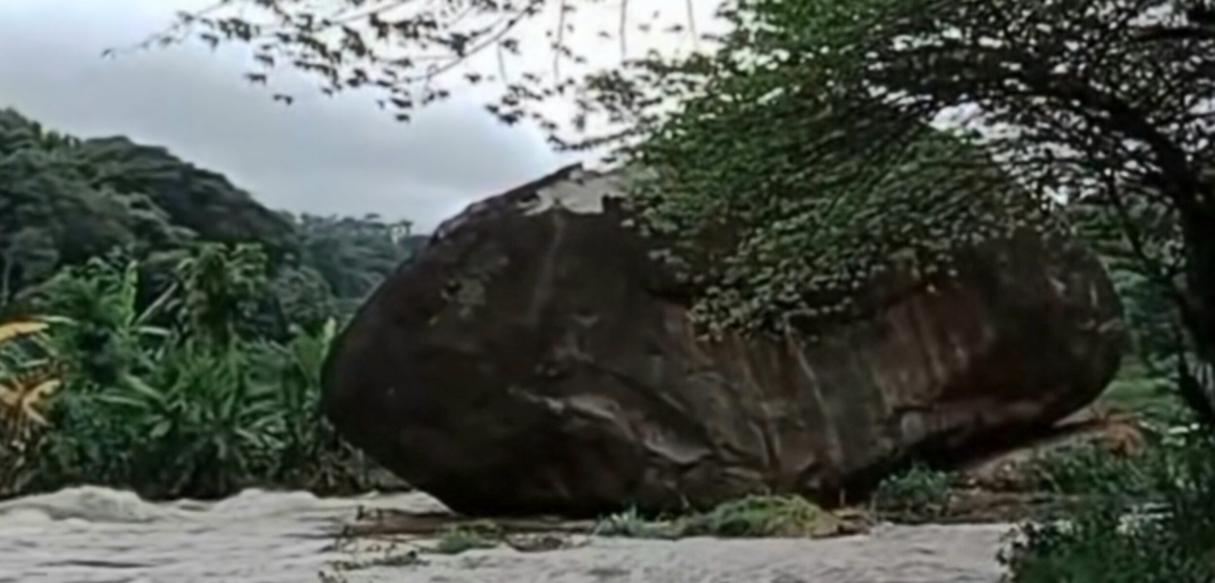 Screenshot 20250205 065008 TikTok