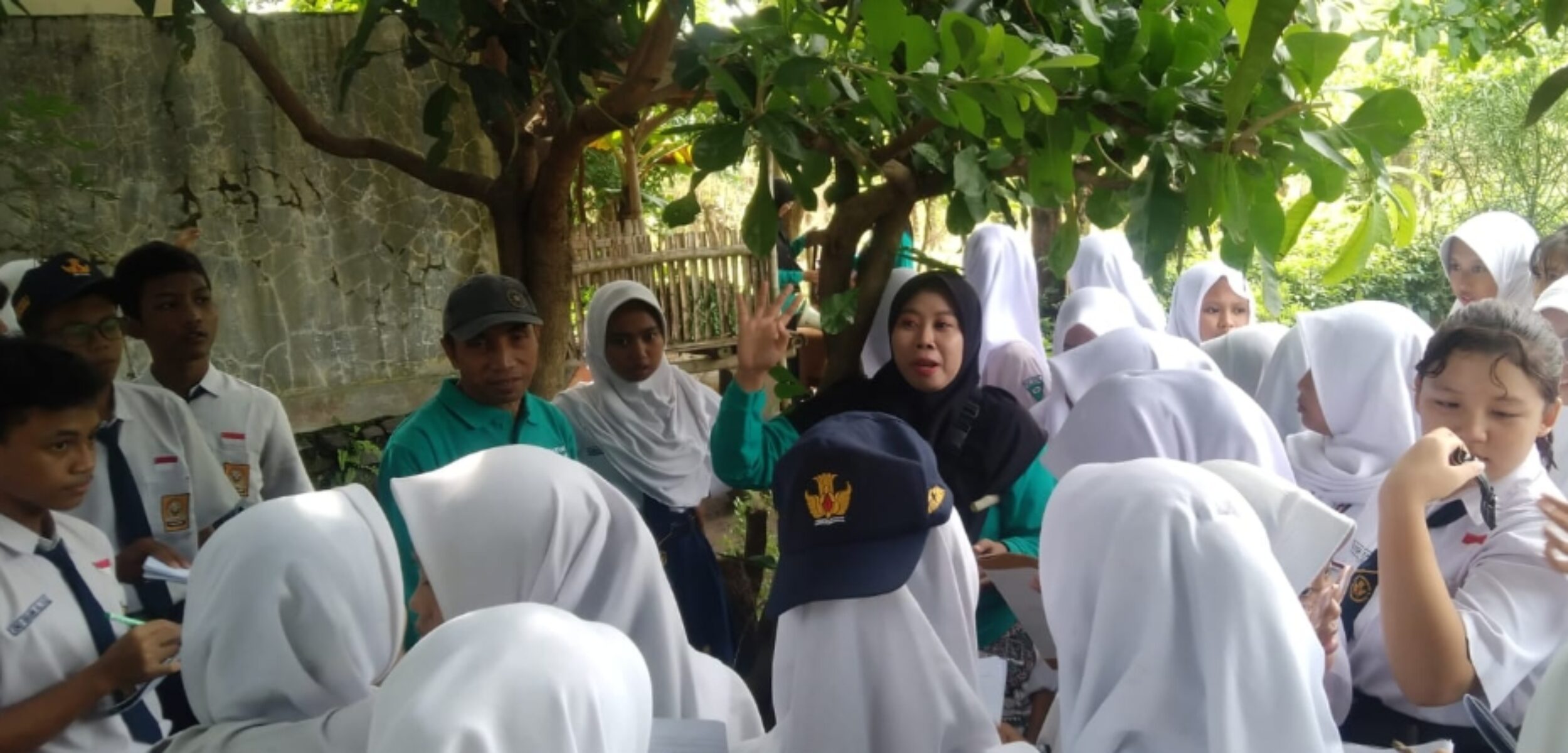 Screenshot 20250213 094409