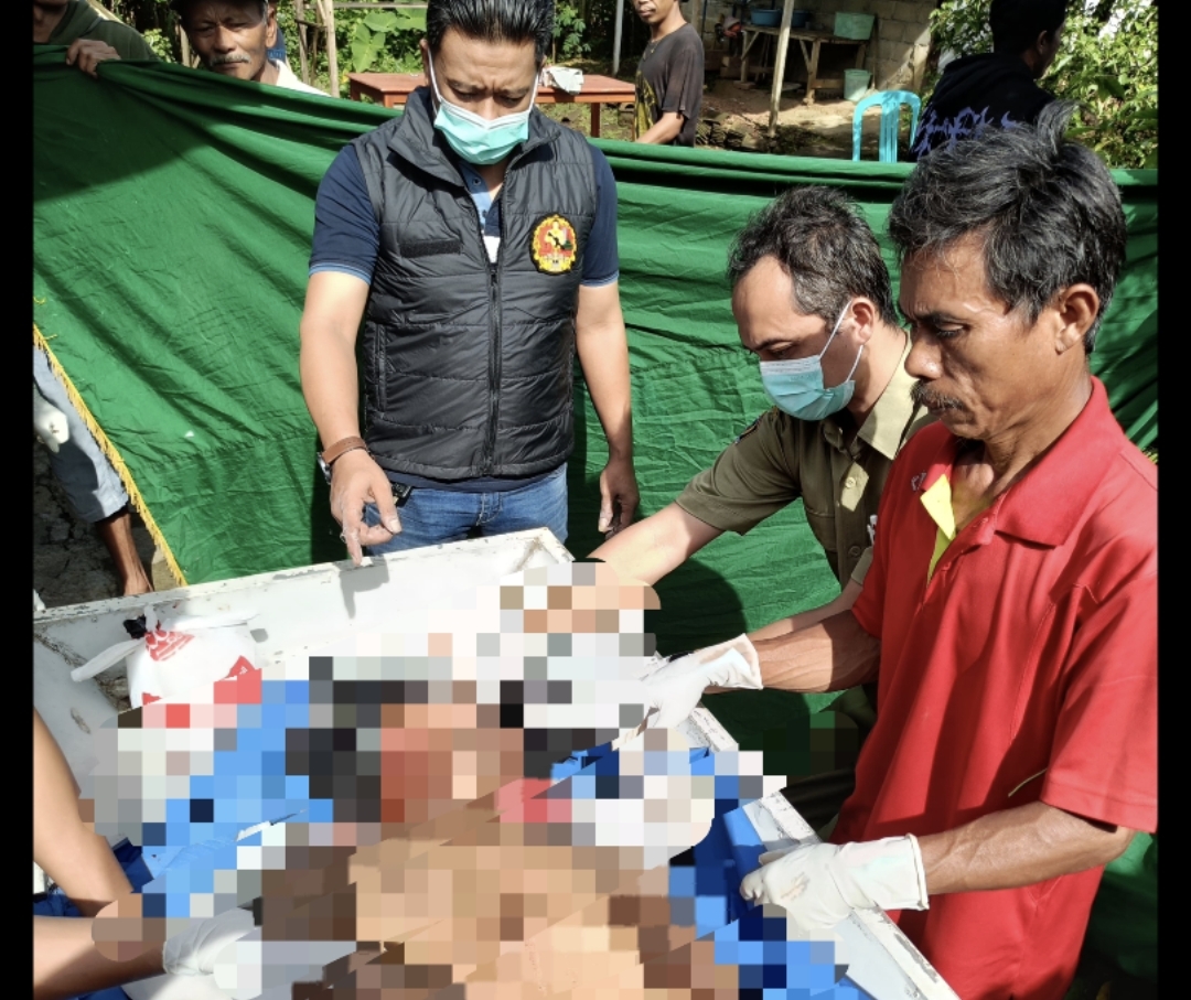 Screenshot 20250218 112614