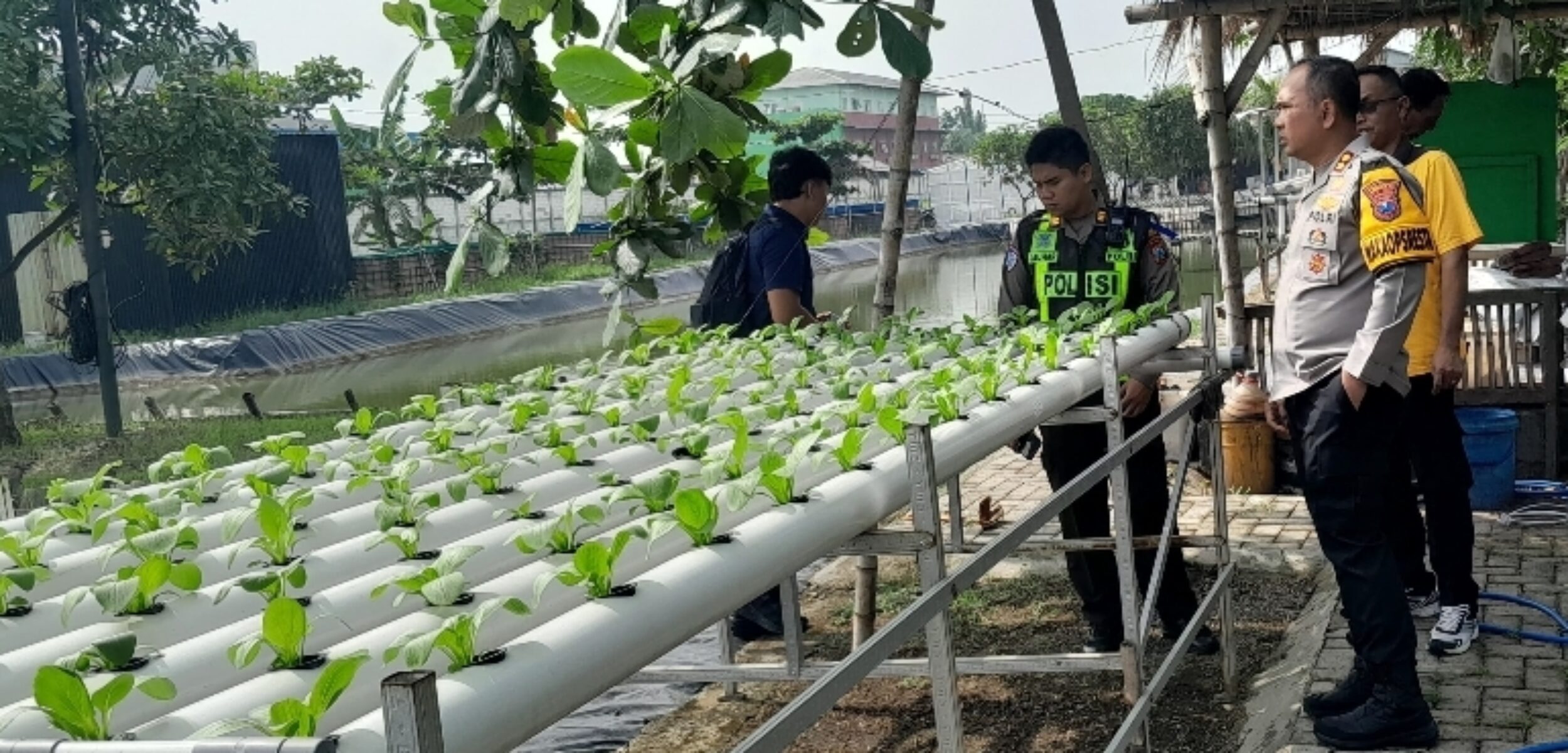 Screenshot 20250219 152634