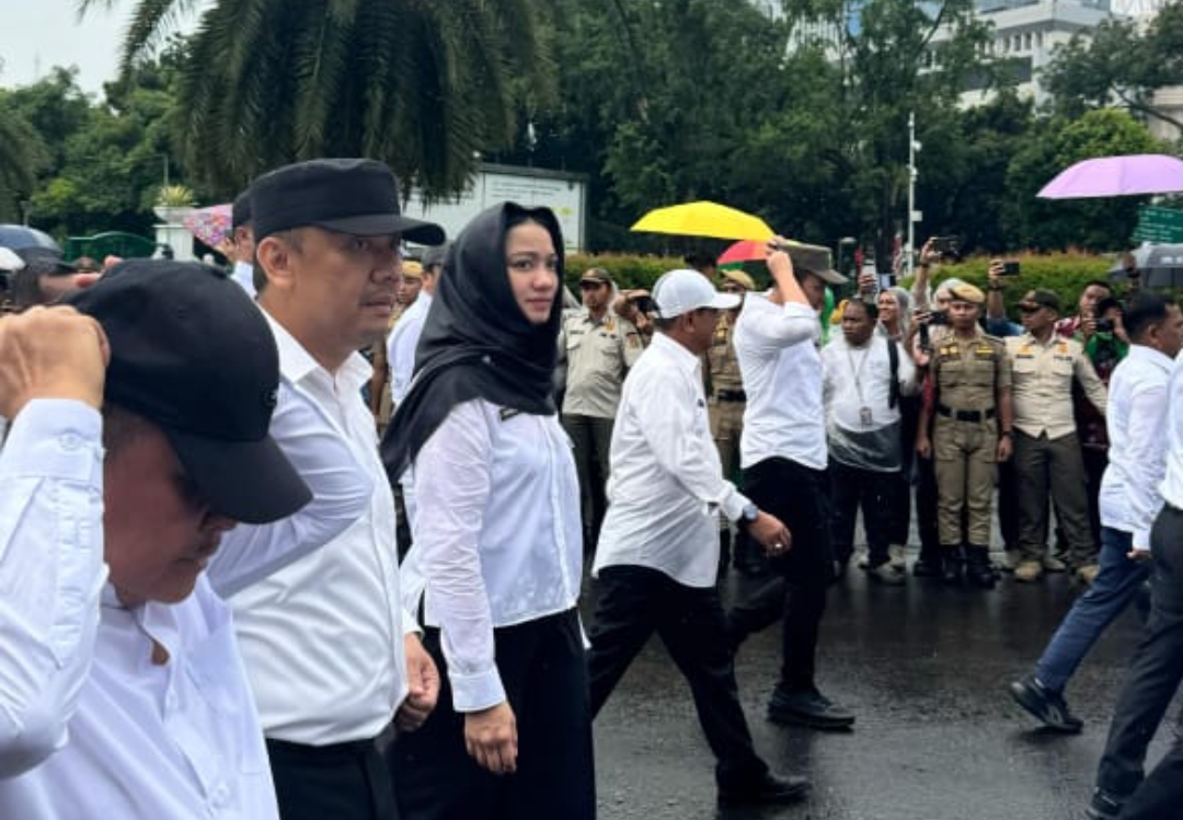 Screenshot 20250220 104901 1 Screenshot 20250220 104901